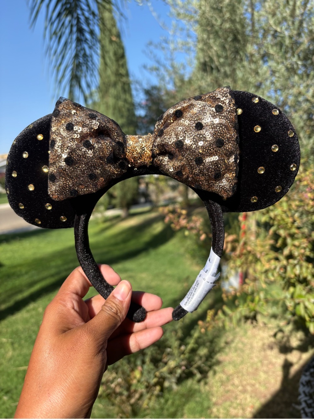 Disney ears